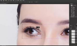 眼睫毛定型小妙招 ps眼睫毛笔刷