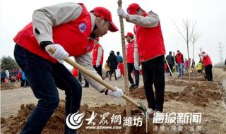 植树节的由来简单20字 植树节的意义20字