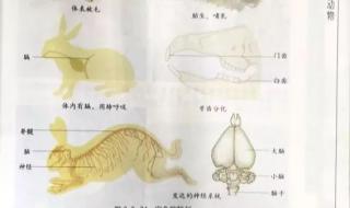 七年级上册期末考试生物重点考哪里 七年级生物上册复习提纲