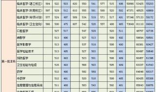 广东各大学录取分数线表2023