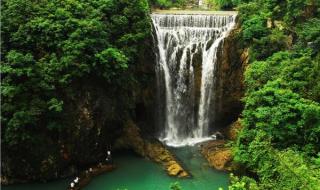 地茅是什么植物 一茅五是什么意思